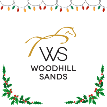 Woodhill Sands Christmas Open Day