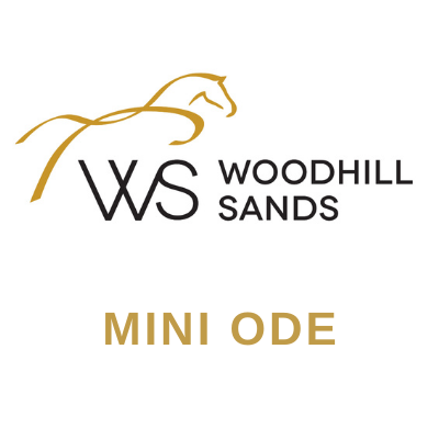 Woodhill Sands Auckland Anniversary Weekend Mini ODE (Sunday)